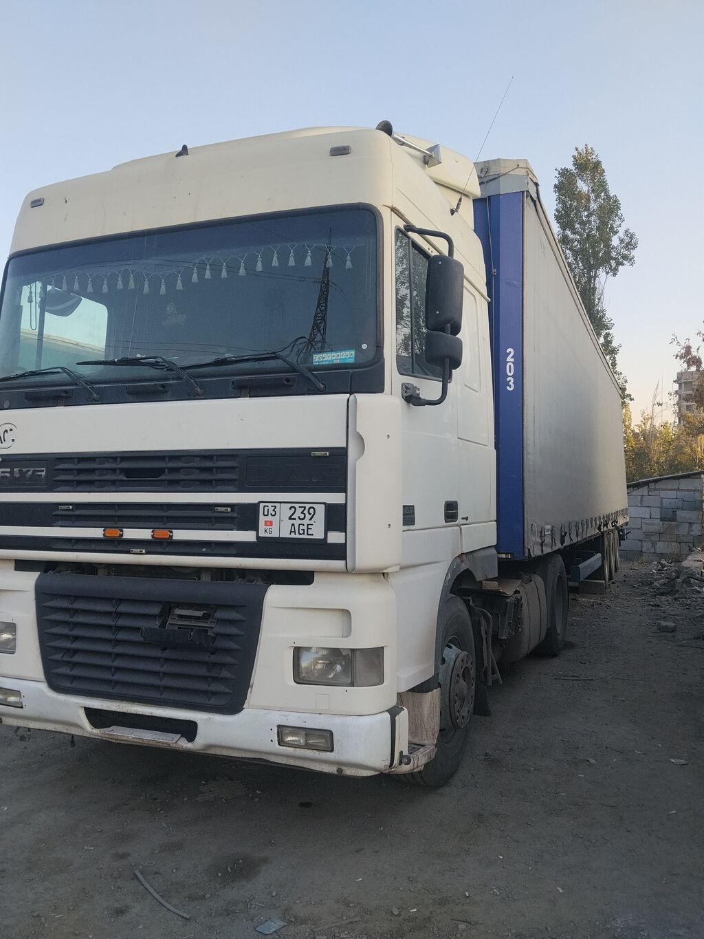 Тягач, DAF, Шторный: фото 1