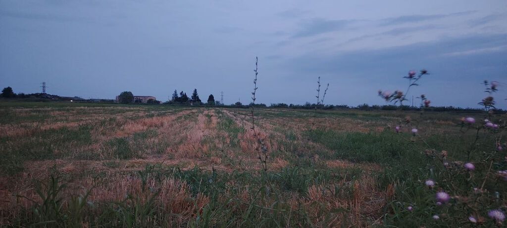 Bərdə rayon alpoud kəndi əkin sahəsi kanal qırağı torpaq Kupçalı sənəd