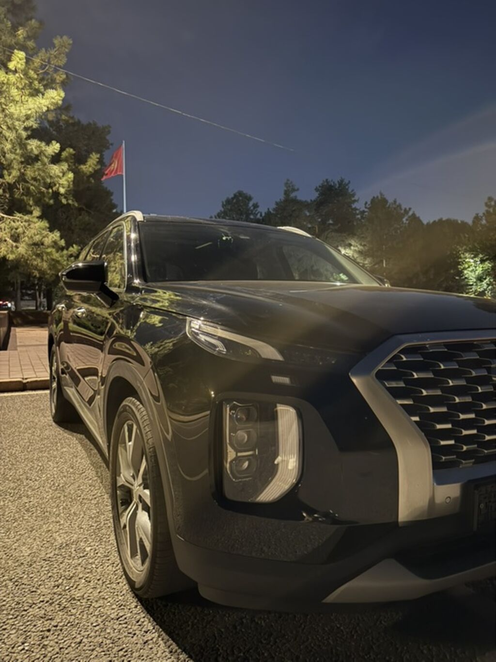 Hyundai Palisade: 2019 г., 2.2 л, Автомат, Дизель, Кроссовер: фото 6