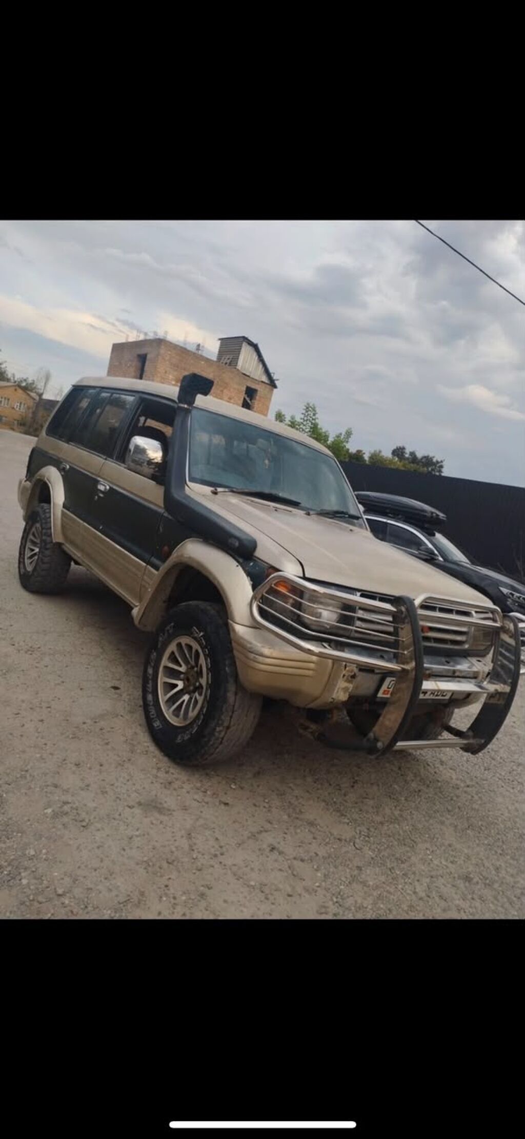 Mitsubishi Pajero: 1993 г.: фото 2