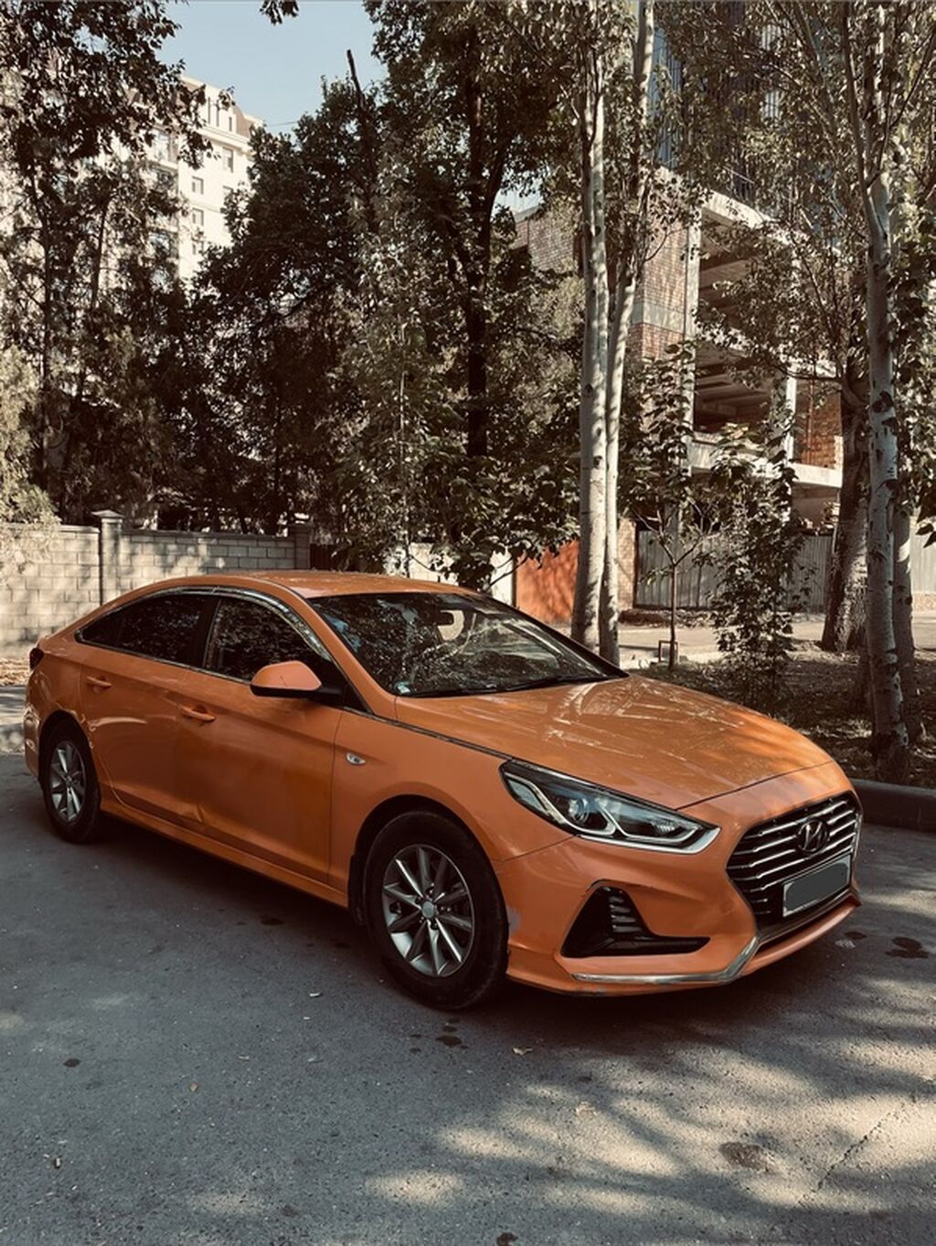 Hyundai Sonata: 2019 г., 2 л, Автомат, Газ, Седан: фото 3