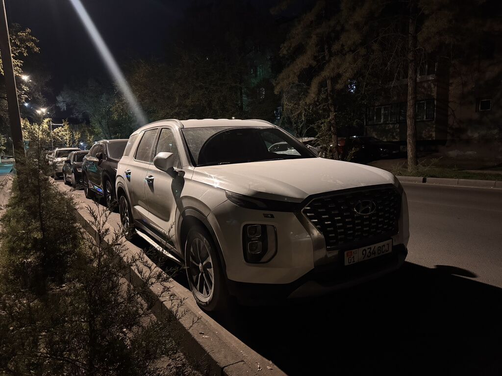 Hyundai Palisade: 2019 г., 2.2 л, Автомат, Дизель: фото 2
