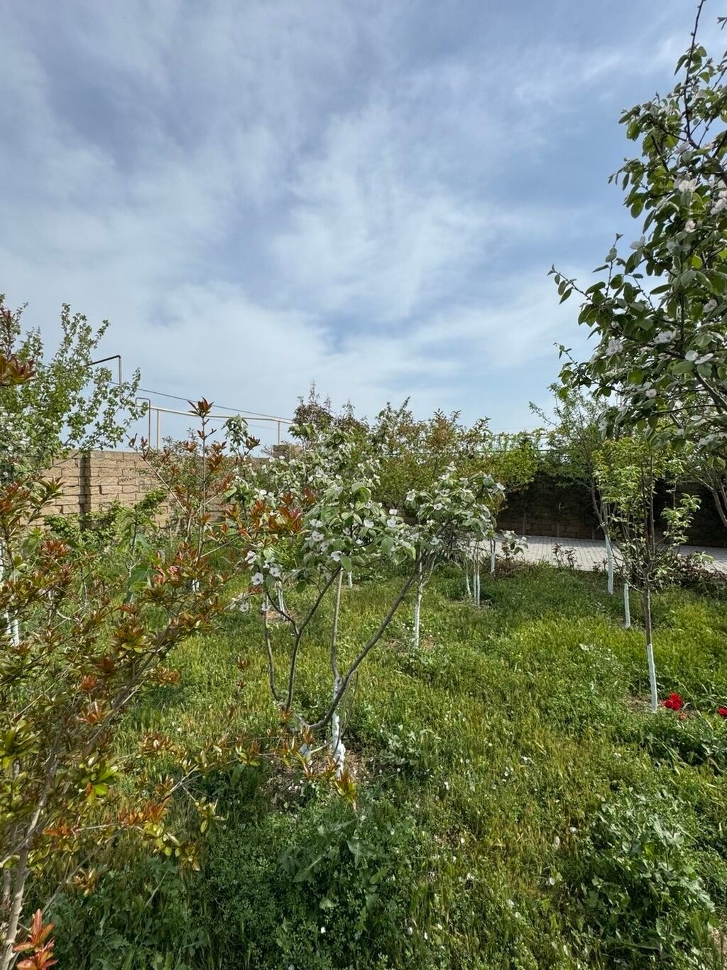 Bakı, Zirə qəs., 100 kv. m, 4 otaqlı, Kombi, Qaz, İşıq