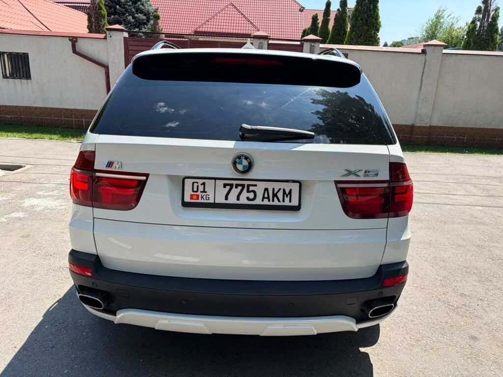 BMW X5: 2009 г., 3 л, Автомат, Бензин, Кроссовер — фото 5