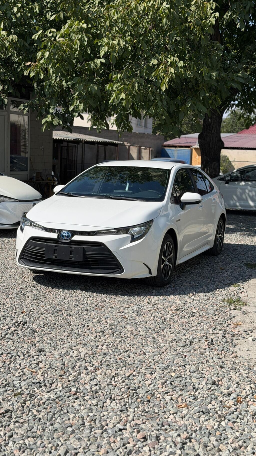 Toyota Levin: 2023 г., 1.8 л, Вариатор, Гибрид, Седан: фото 3