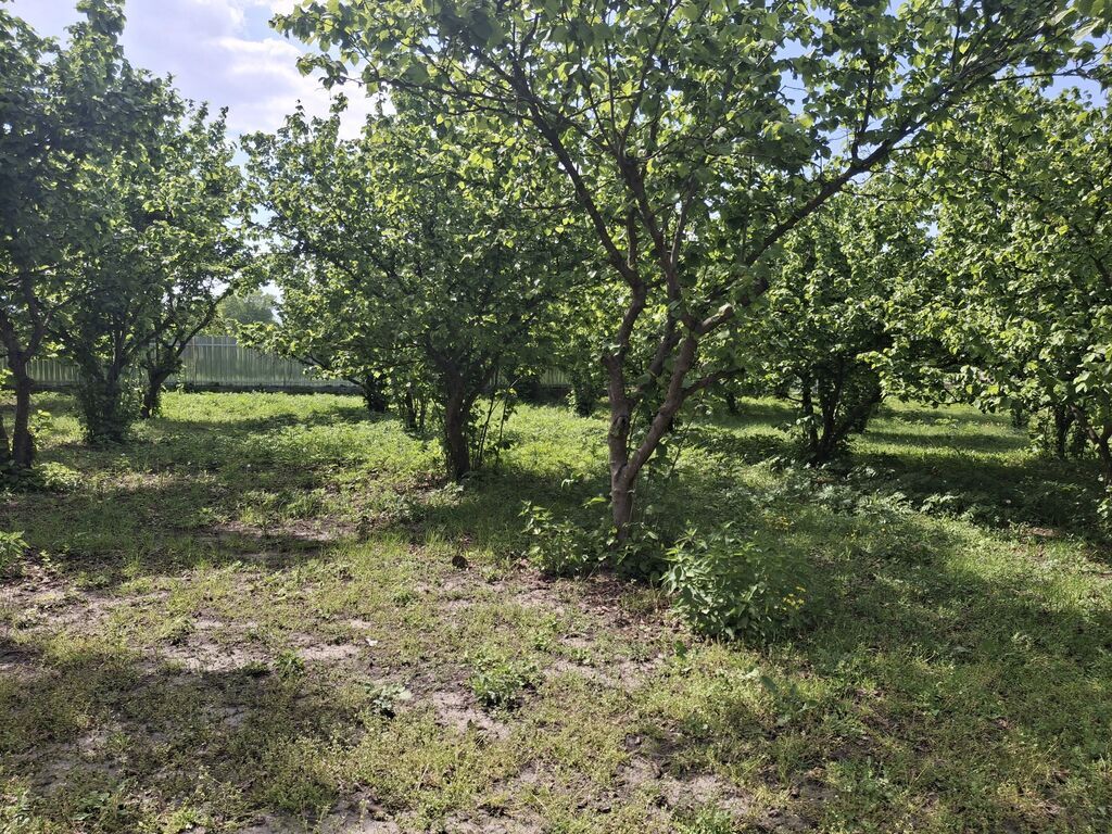 Qusar, 72 kv. m, 3 otaqlı, Hovuzsuz, Qaz, İşıq, Su