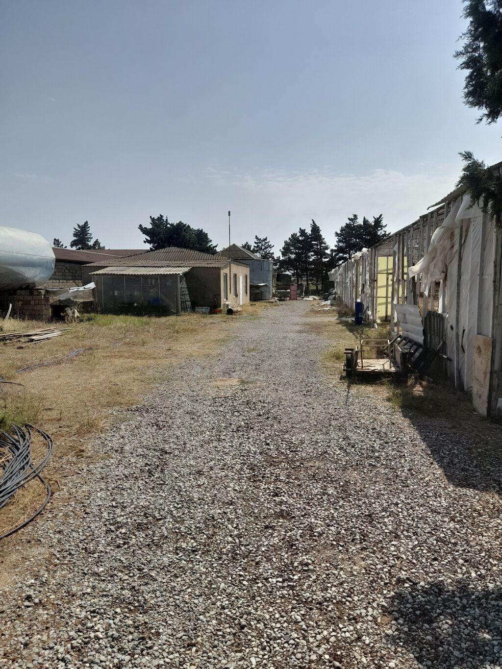 135 sot, Biznes üçün, Kupça (Çıxarış)