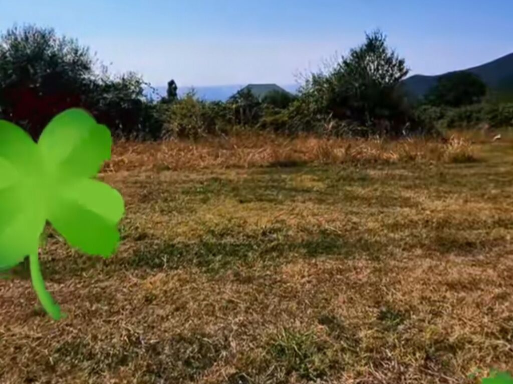 5 sot, Tikinti, Mülkiyyətçi, Kupça (Çıxarış)