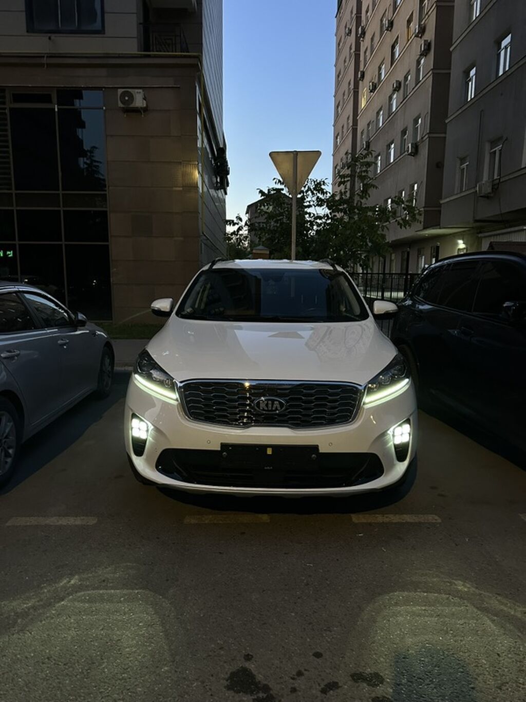 Kia Sorento: 2019 г., 2 л, Автомат, Бензин, Кроссовер: фото 2