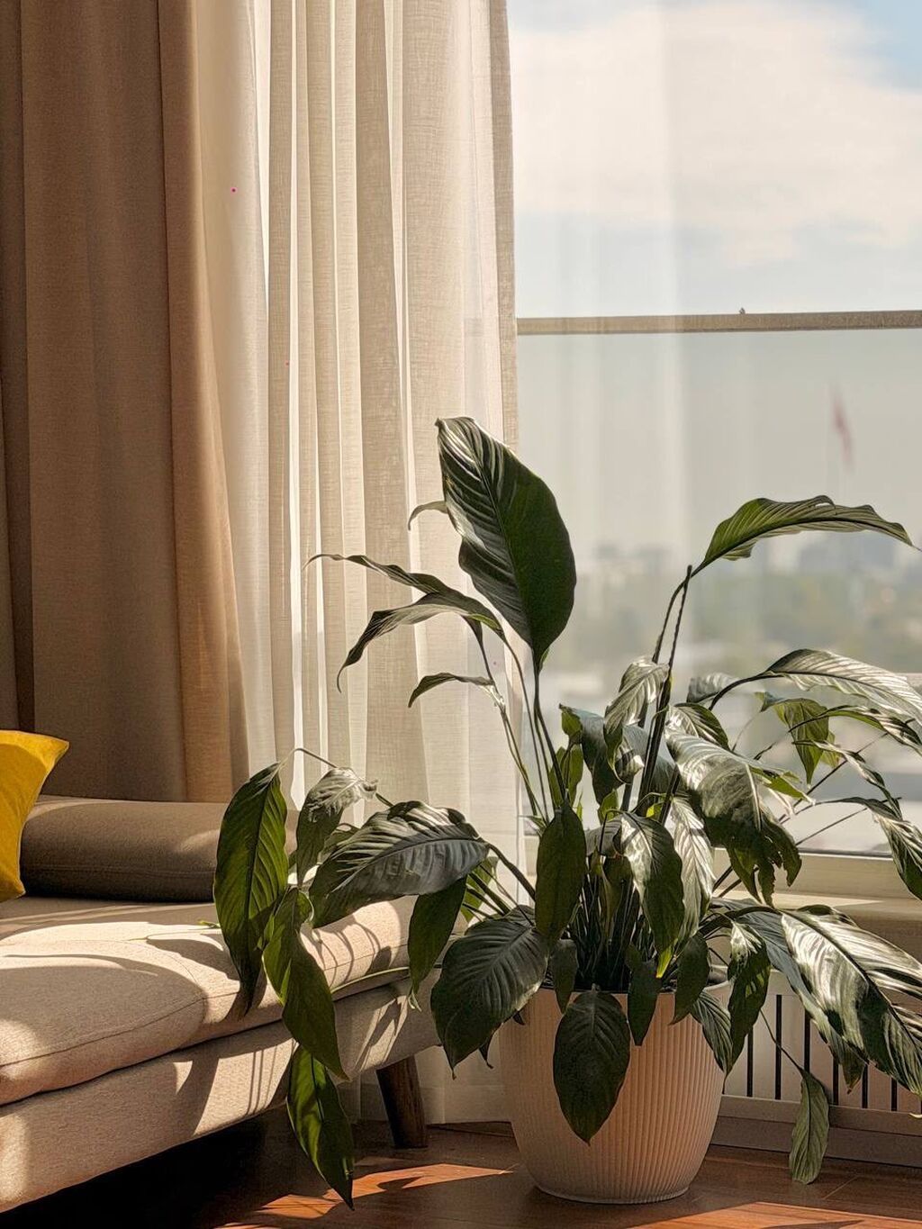 3 комнаты, 93 м², Элитка, 10 этаж, Евроремонт: фото 4