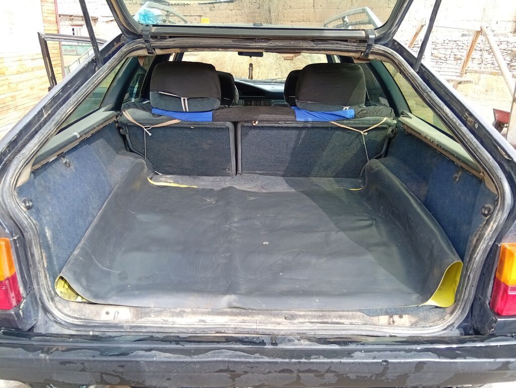 Audi 100