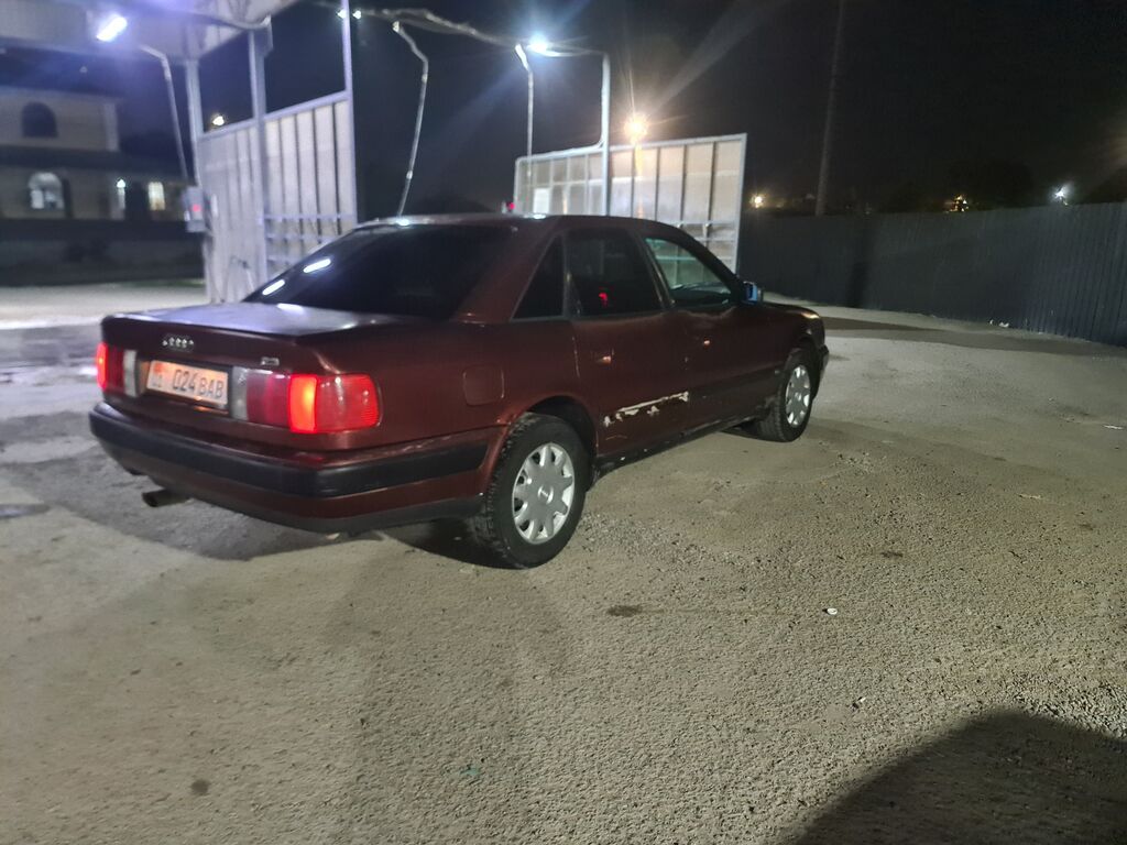 Audi 100: 1992 г., 2.3 л, Автомат, Бензин, Седан: фото 2