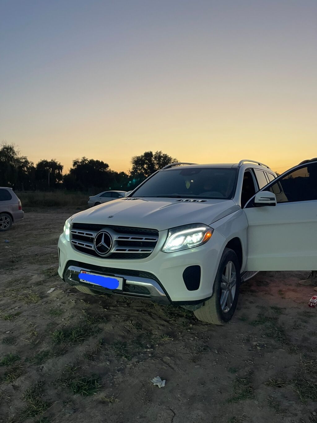 Mercedes-Benz GLS-Class: 2019 г., 3 л, Автомат, Бензин, Внедорожник: фото 2