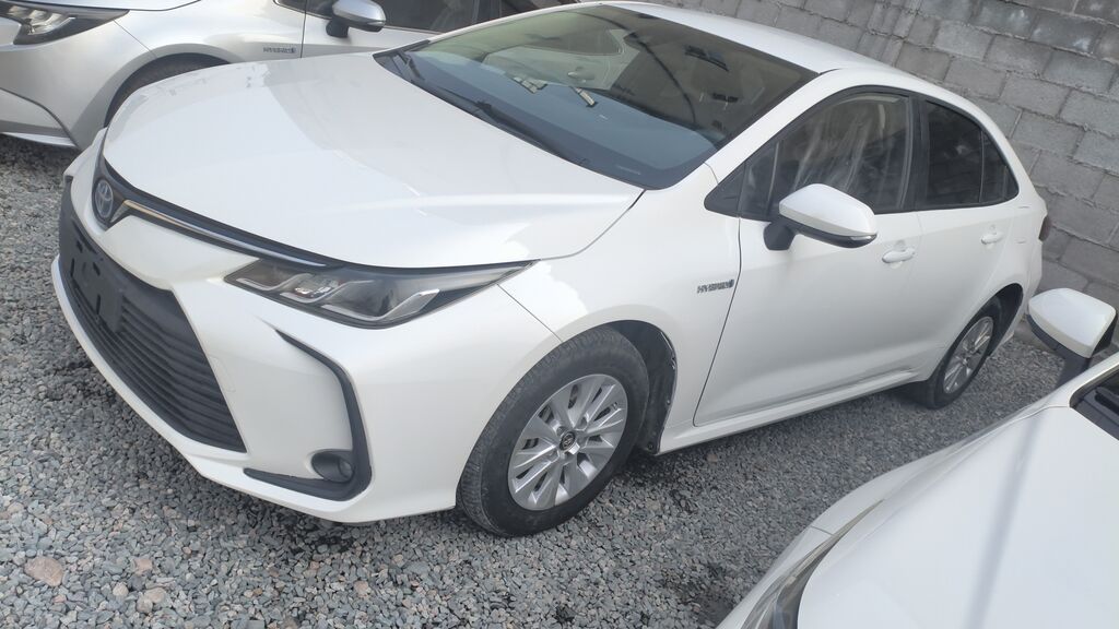 Фото 4
