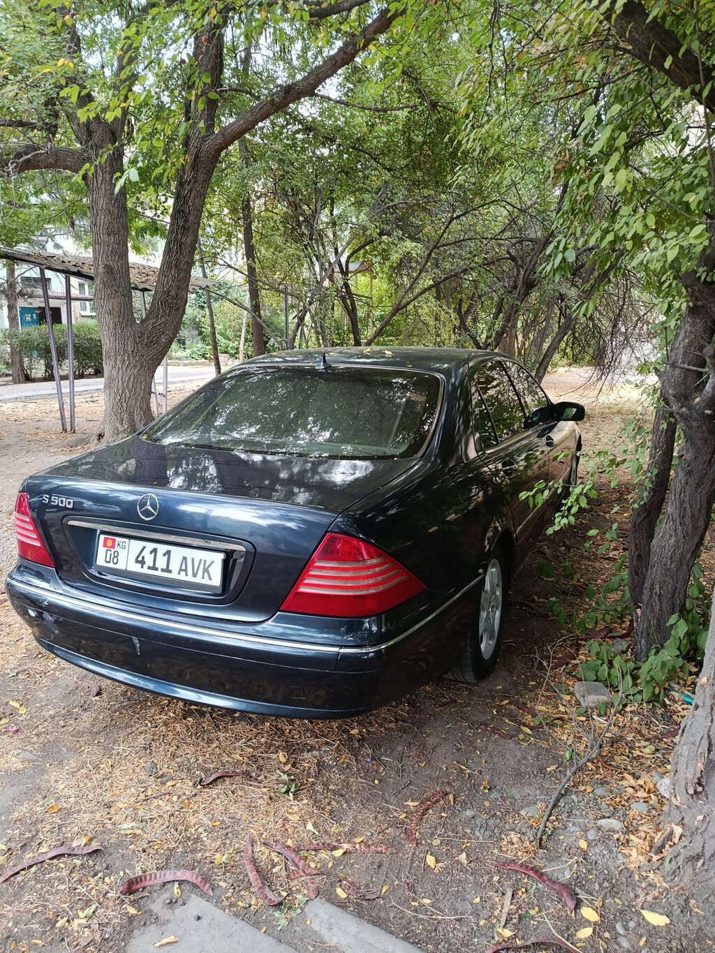 Mercedes-Benz S-Class: 2001 г., 5 л, Автомат, Бензин, Седан: фото 6