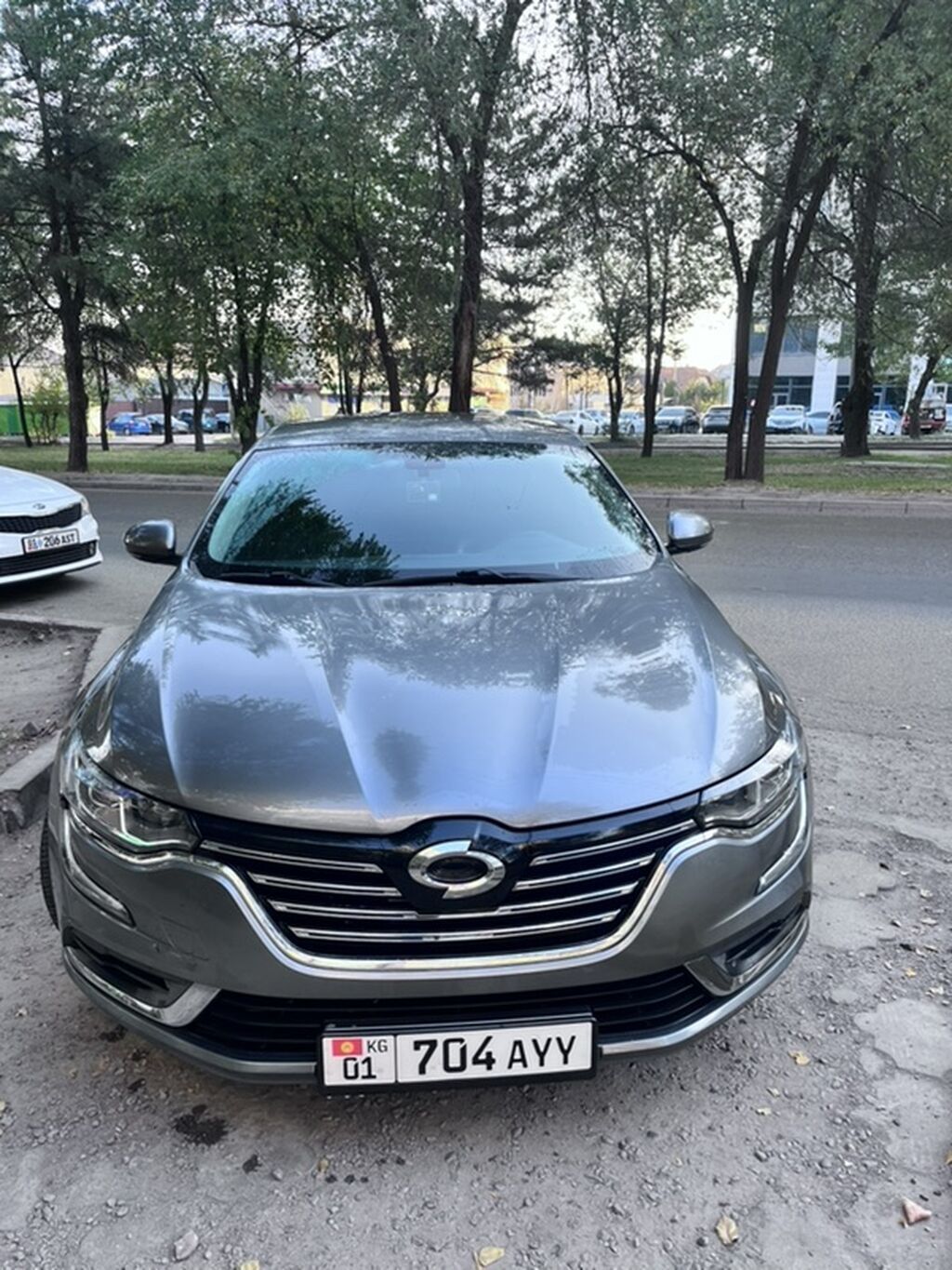 Renault Samsung SM6: 2019 г., 2 л, Вариатор, Газ, Седан: фото 3