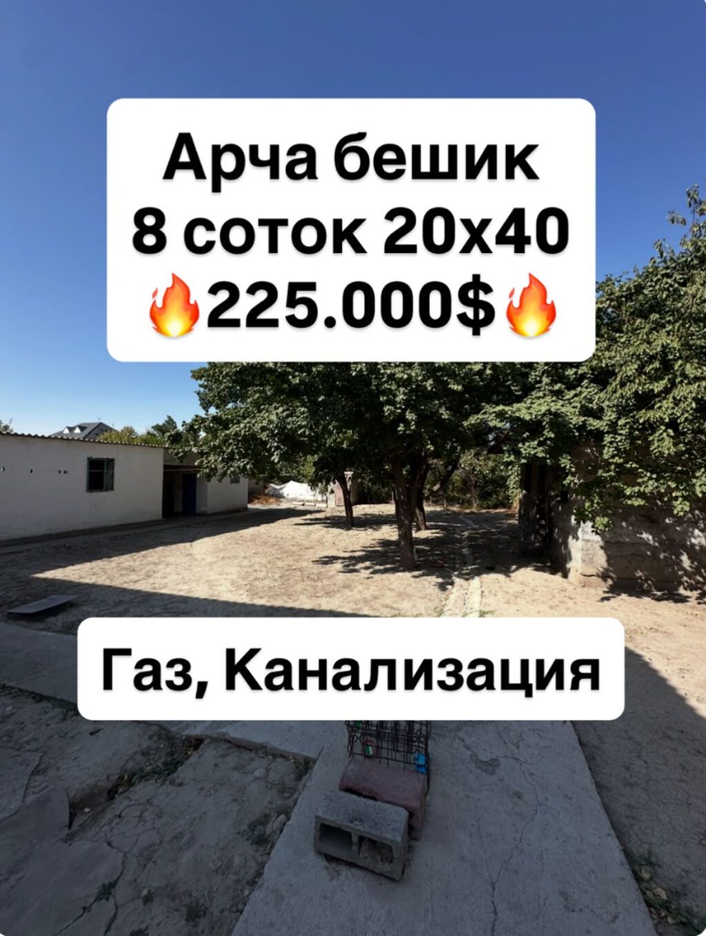 8 соток, Для строительства, Красная книга, Тех паспорт: фото 1