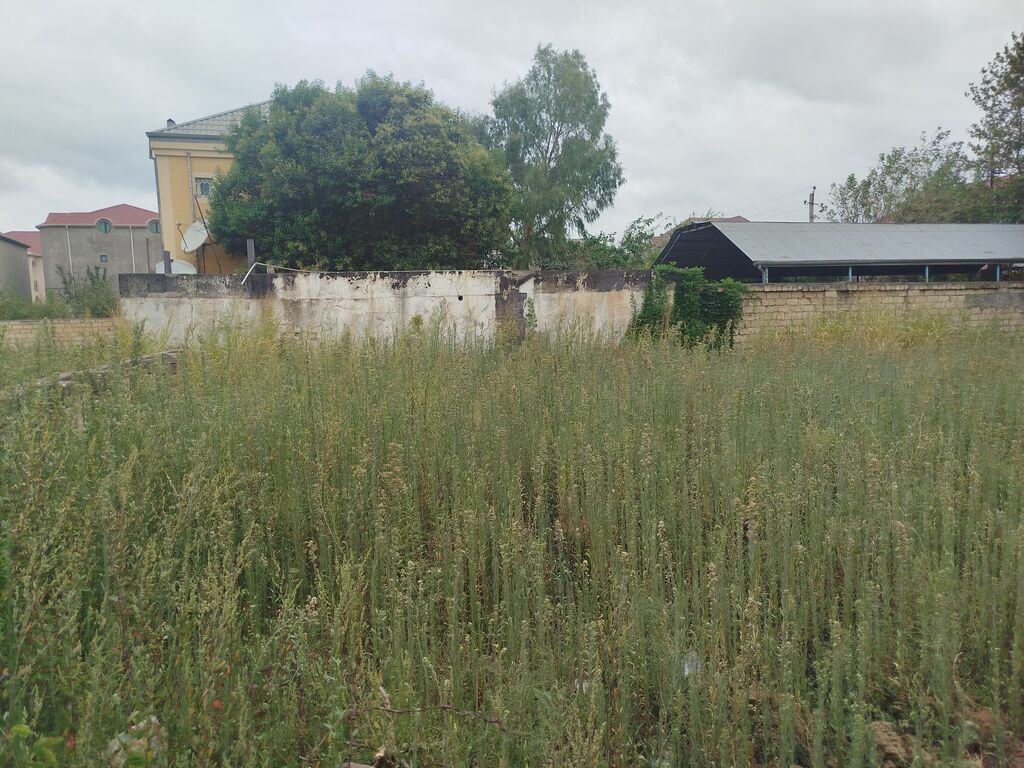 2 sot, Tikinti, Makler, Kupça (Çıxarış)