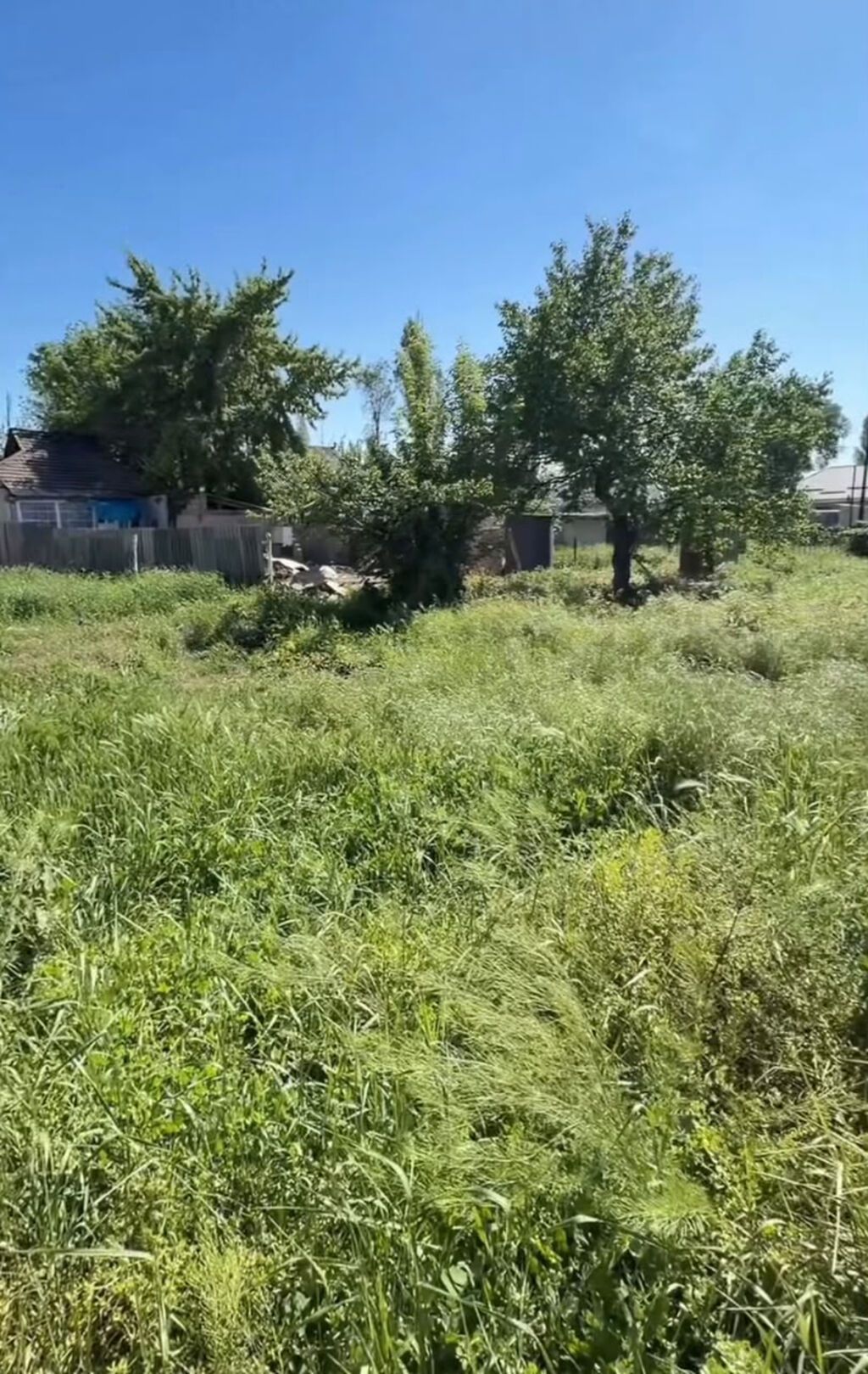 4 соток, Красная книга: фото 2