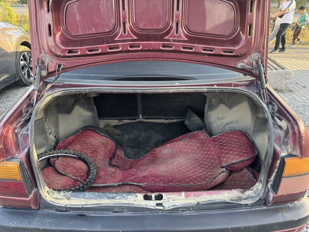 Volkswagen Vento: 1993 г., 1.8 л, Механика, Бензин, Седан: фото 3