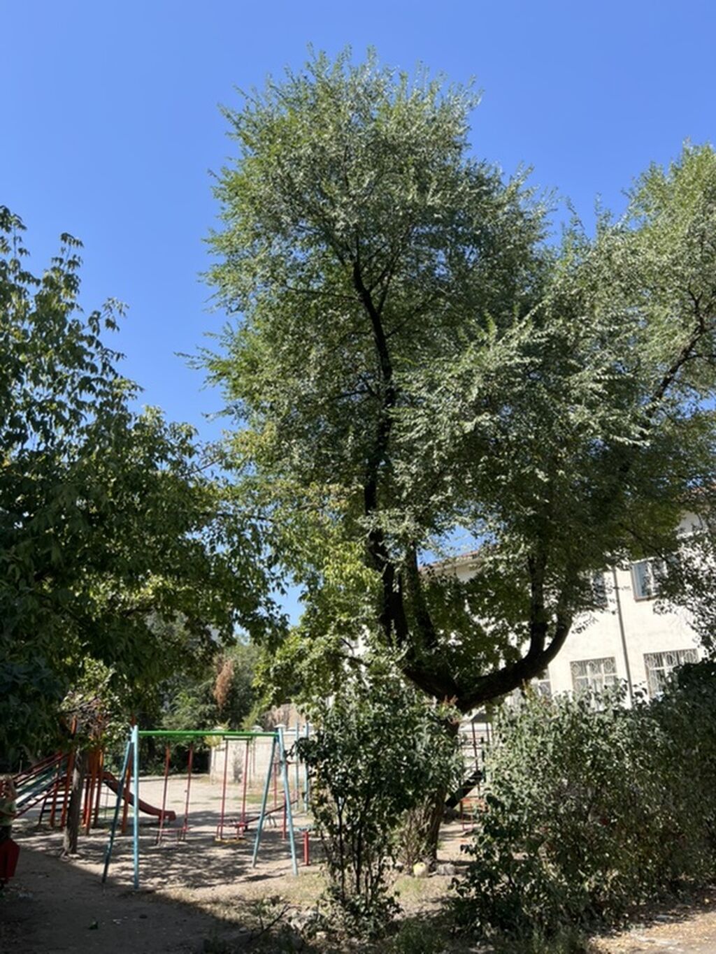 Продам 2-комн. квартиру, 47 м², центр: фото 5