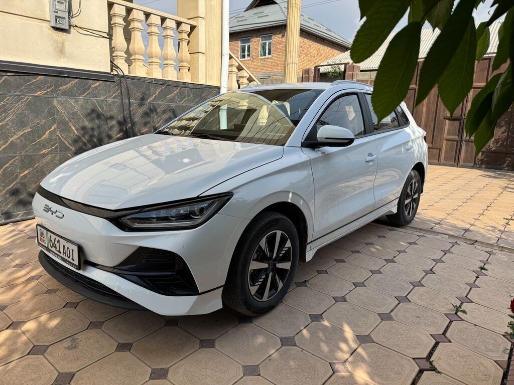 BYD E2