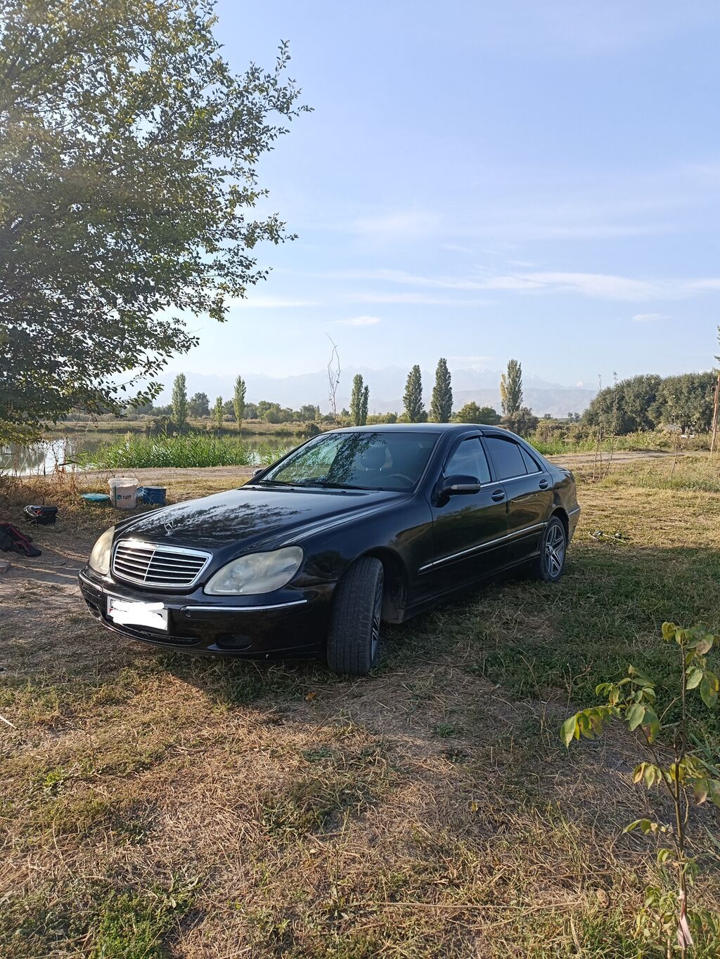 Mercedes-Benz S-Class: 2000 г., Автомат, Газ, Седан: фото 4