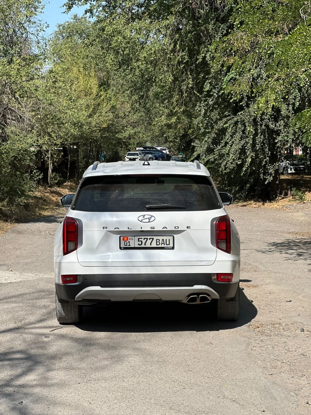 Hyundai Palisade: 2021 г., 2.2 л, Автомат, Дизель, Внедорожник: фото 8