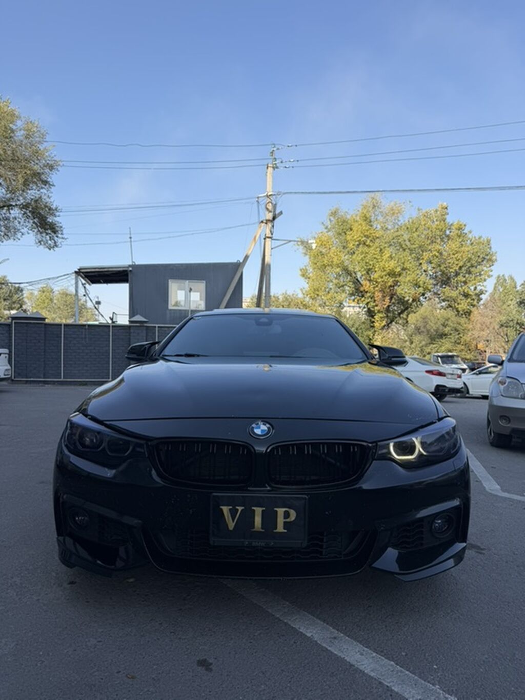 BMW 4 series: 2019 г., 2 л, Автомат, Бензин, Лифтбек: фото 4
