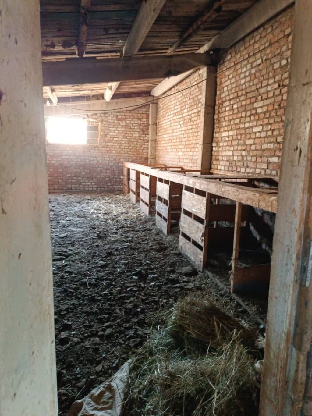 Farm КРС, 1 соток, Действующий, Без оборудования, Электричество