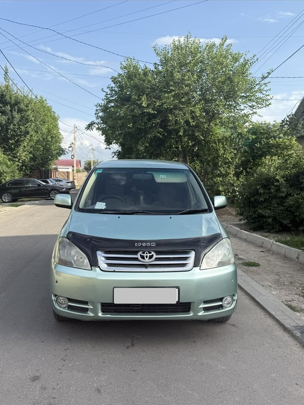 Toyota Ipsum