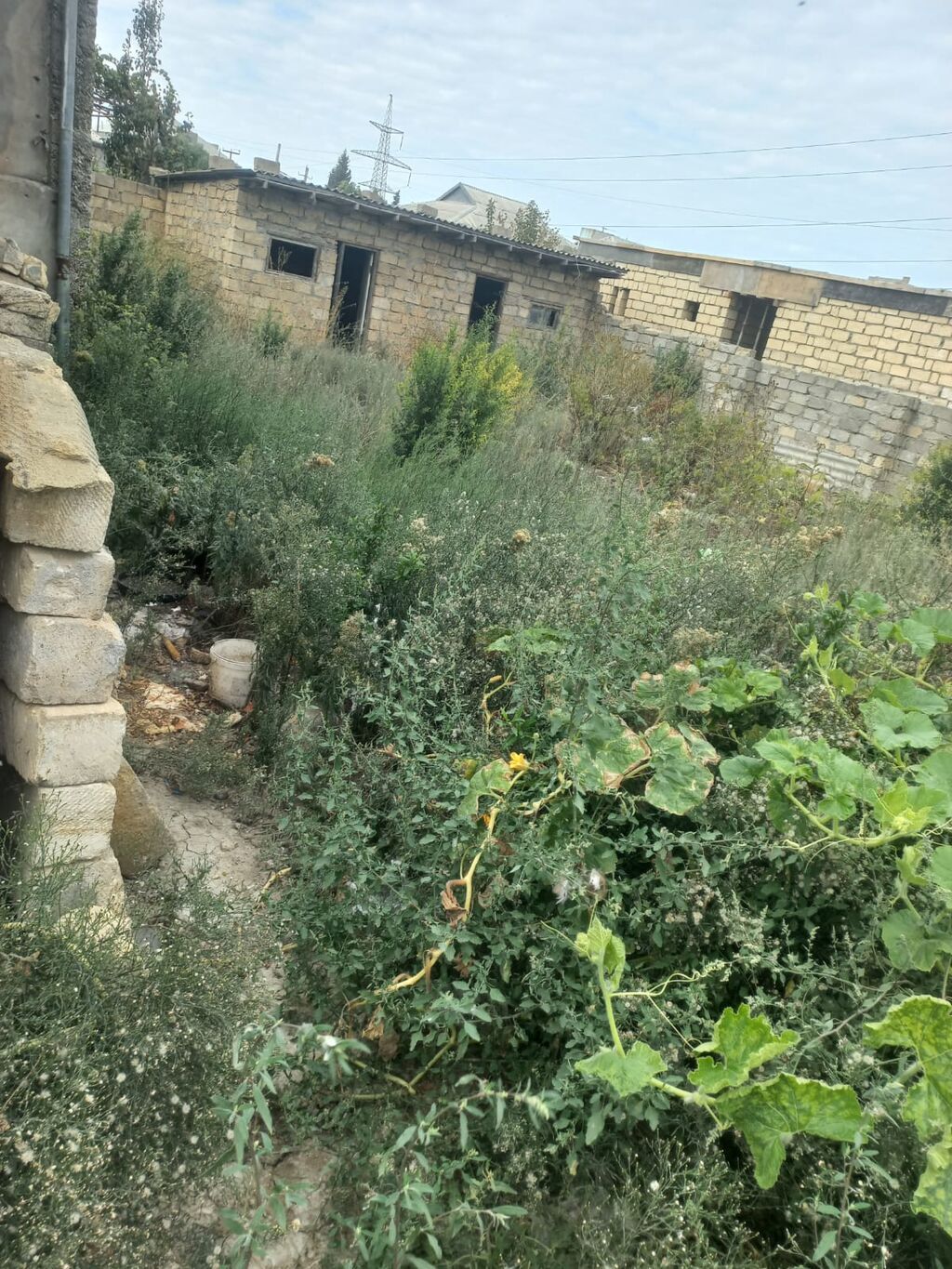 Tikinti