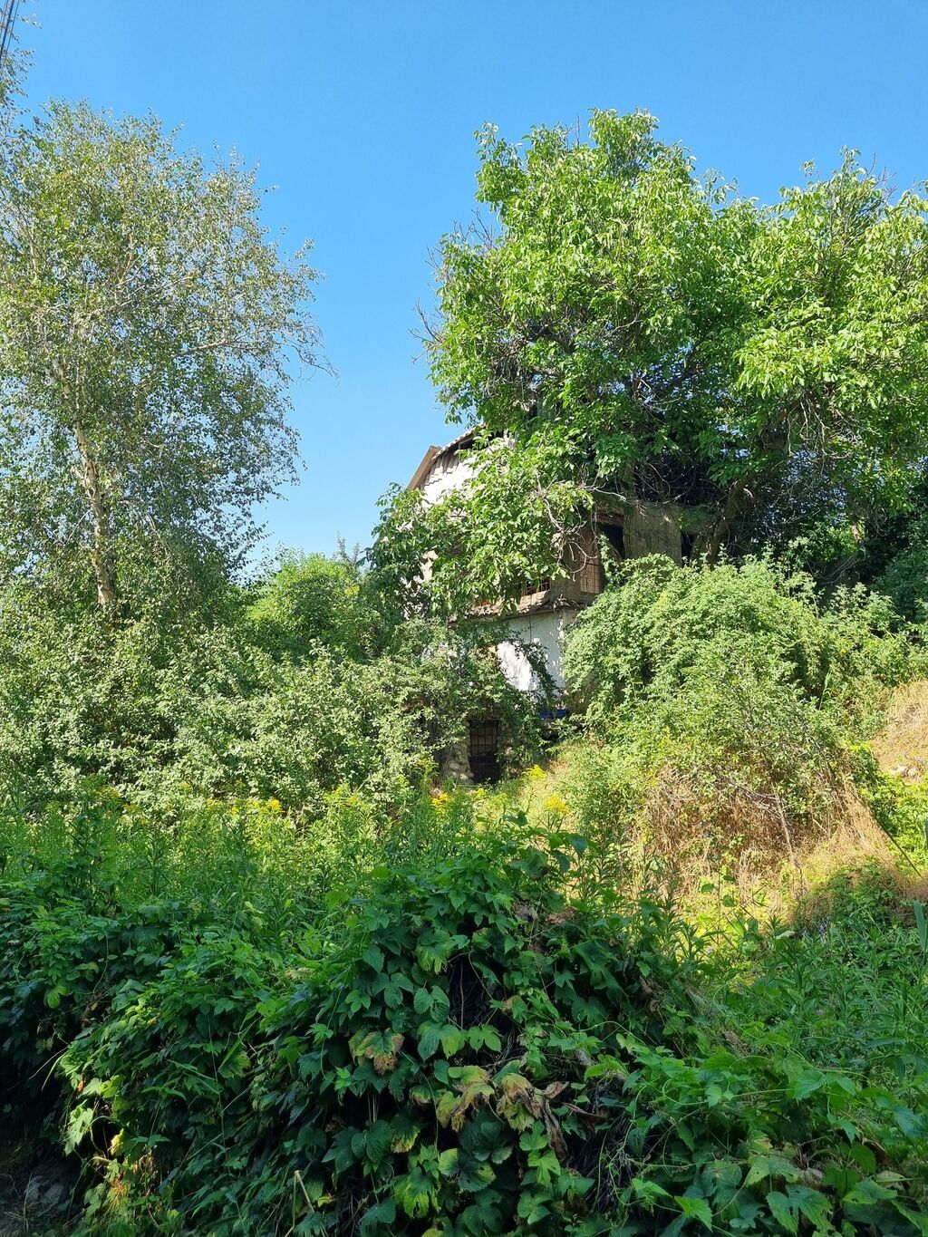 4 соток, Для строительства, Договор купли-продажи: фото 5