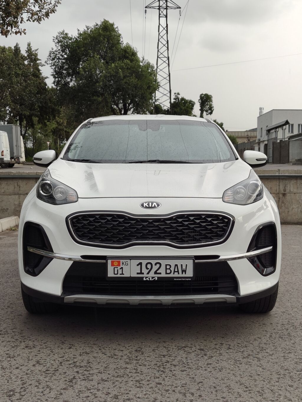 Kia Sportage: 2019 г., 2 л, Автомат, Дизель, Кроссовер — фото 1