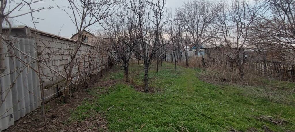 Продаётся жилой дом с большим участком и хозяйственными постройками: фото 4