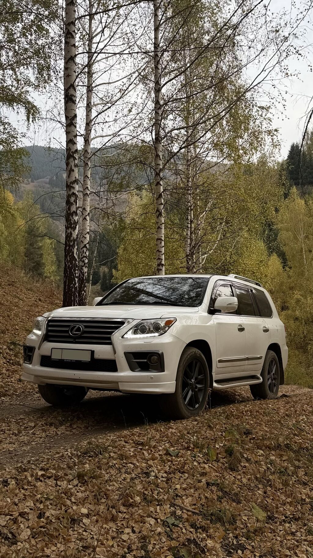 Lexus LX: 2013 г., 5.7 л, Автомат, Газ, Внедорожник: фото 1