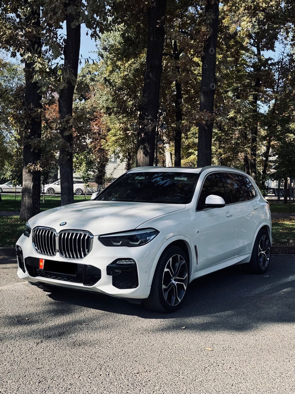 BMW X5: 2021 г., 3 л, Автомат, Бензин, Кроссовер: фото 1