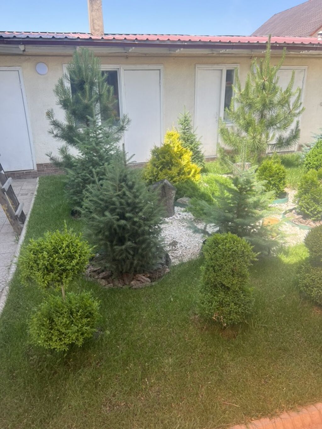 140 м², 5 комнат, Кок-Жар ж/м: фото 5