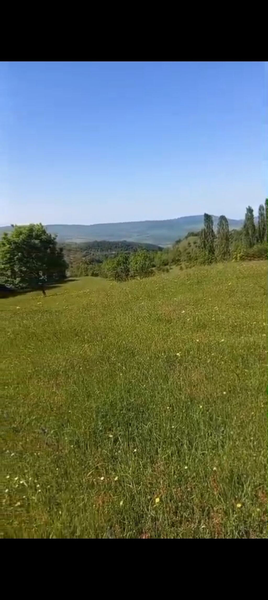 170 sot, Kənd təsərrüfatı, Mülkiyyətçi, Kupça (Çıxarış)