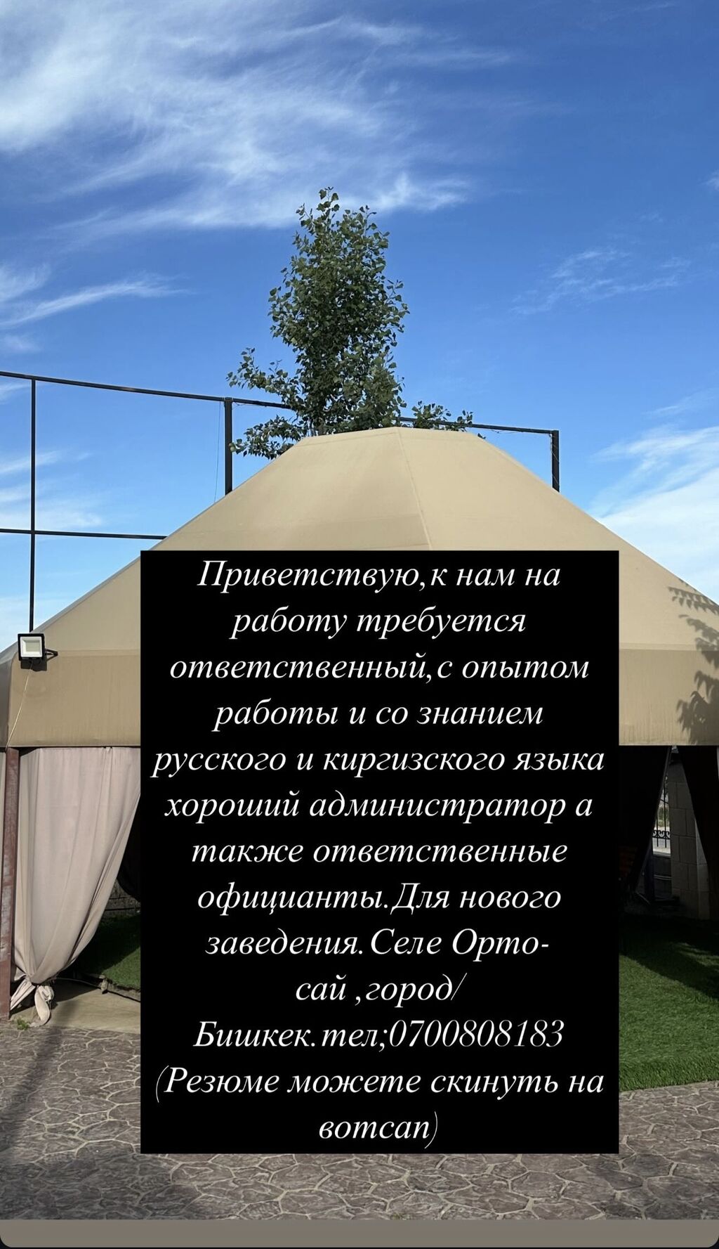 Приветствую,к нам на работу требуется ответственный,с: Договорная ᐈ  Администраторы | Бишкек | 38400919 ➤ lalafo.kg