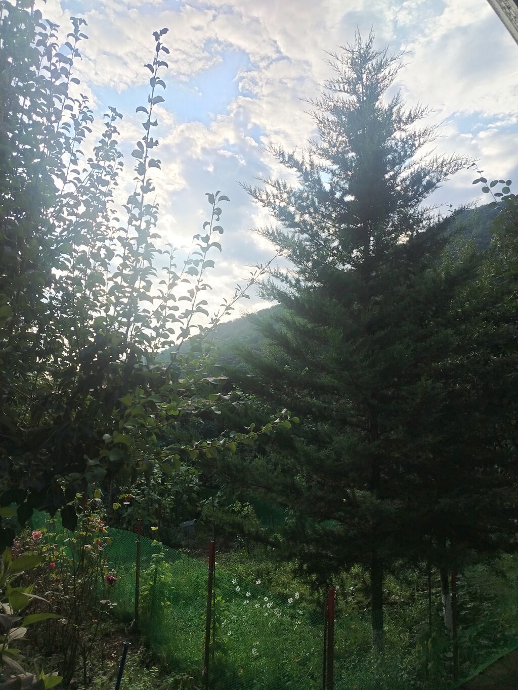 Qubada Qeçreşde həyət evi kirayə verilir – təbiətin qoynunda, sakit