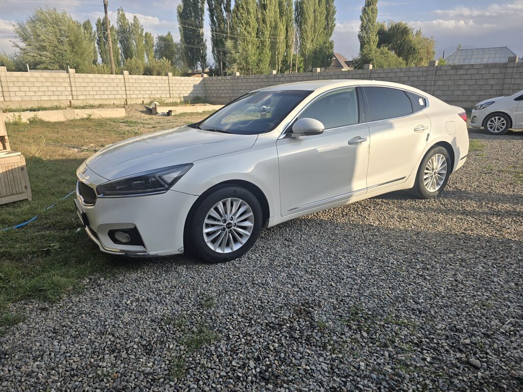 Kia Cadenza: 2019 г., 3 л, Автомат, Газ, Седан: фото 2