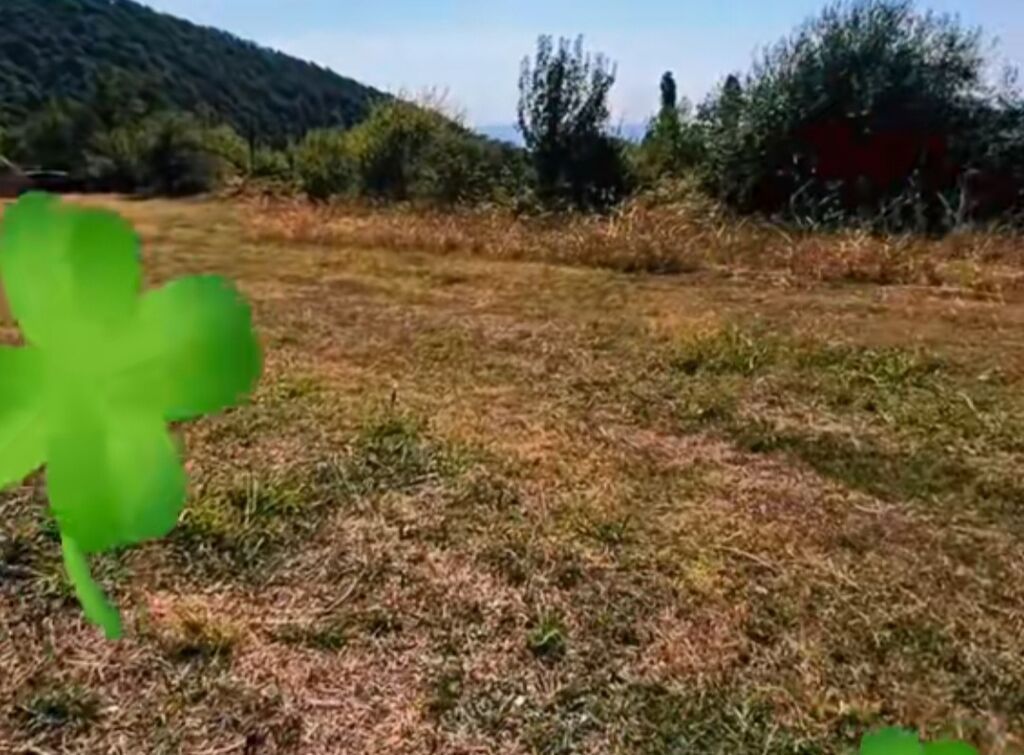 5 sot, Tikinti, Mülkiyyətçi, Kupça (Çıxarış)