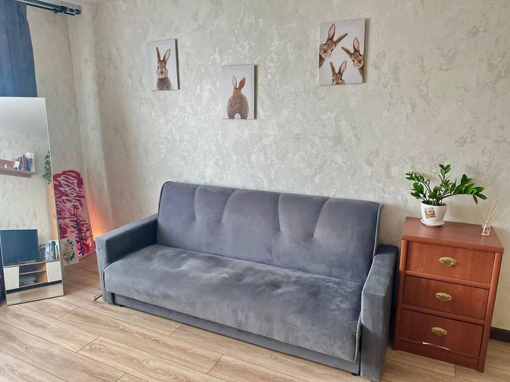 1 комната, Риэлтор, Без животных, С мебелью частично: фото 2