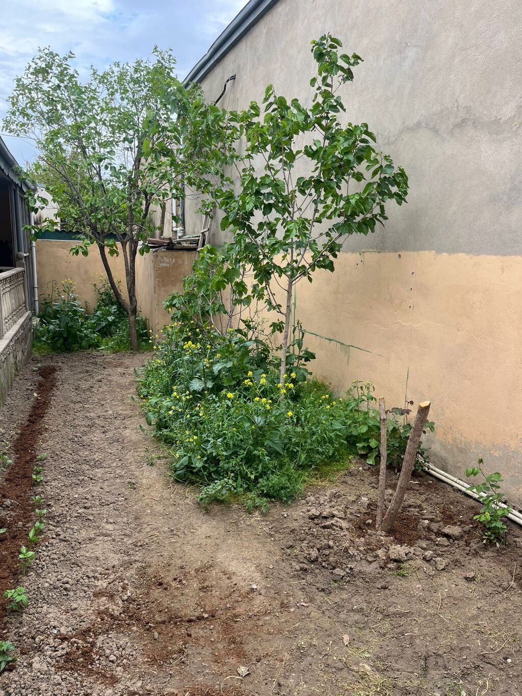 4 otaqlı, 146 kv. m, Kredit yoxdur, Orta təmir