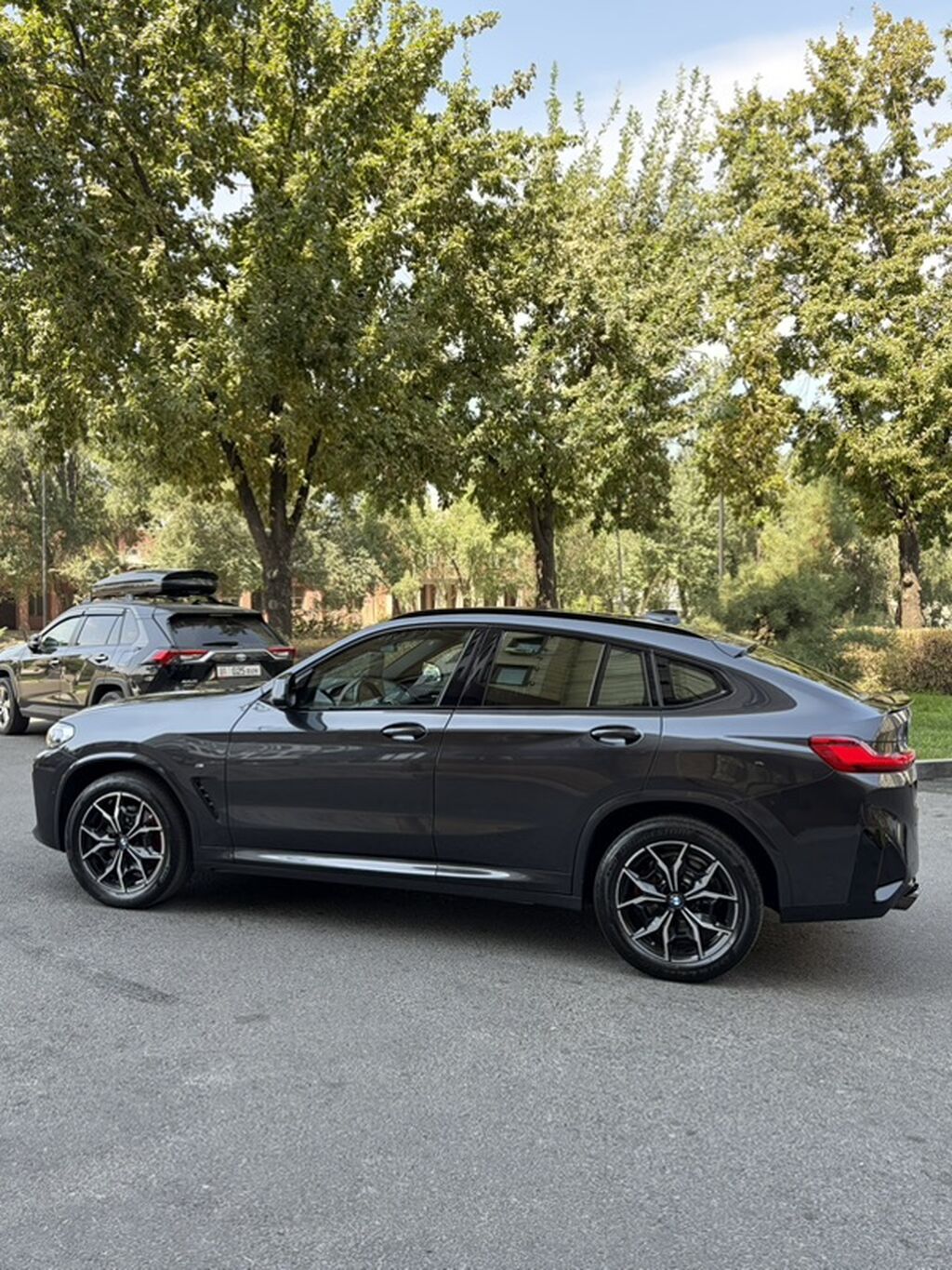 BMW X4: 2023 г., 2 л, Автомат, Бензин, Кроссовер: фото 8