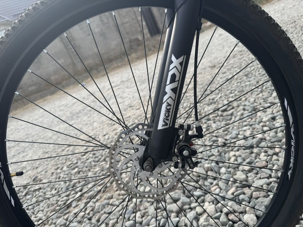 Горный велосипед Vicky XDX 29" - Рама: легкосплавная, геометрия: фото 4