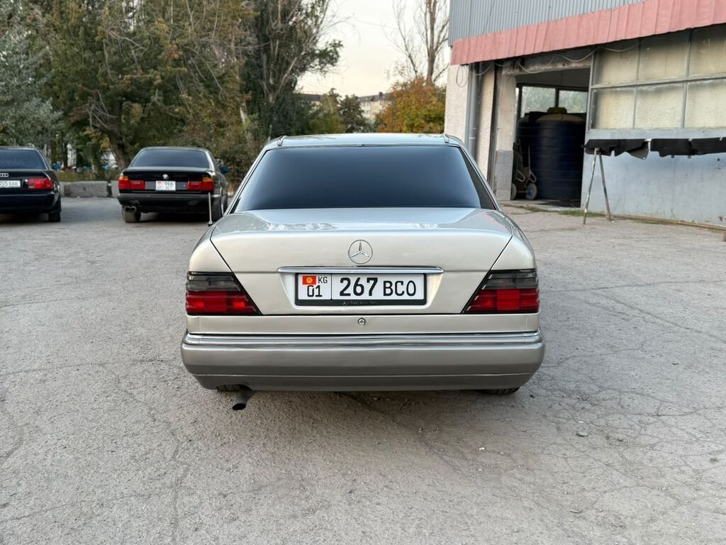 Mercedes-Benz E-Class: 1994 г., 2.2 л, Механика, Бензин, Седан: фото 7