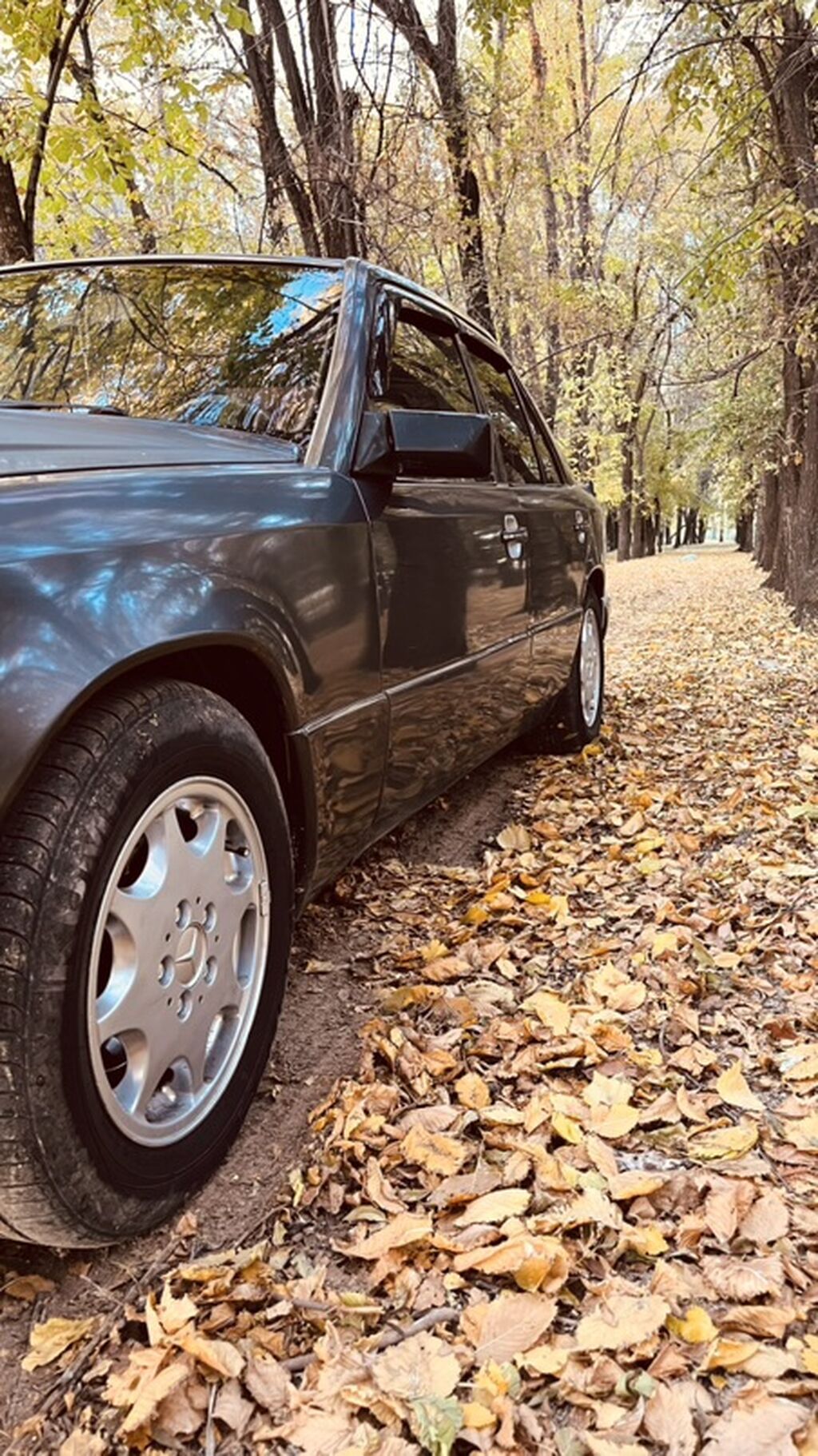 Mercedes-Benz W124: 1994 г., 2 л, Механика, Бензин, Седан: фото 2