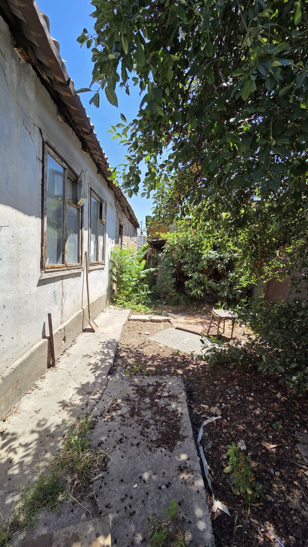 3 соток, Красная книга, Тех паспорт, Договор купли-продажи: фото 3